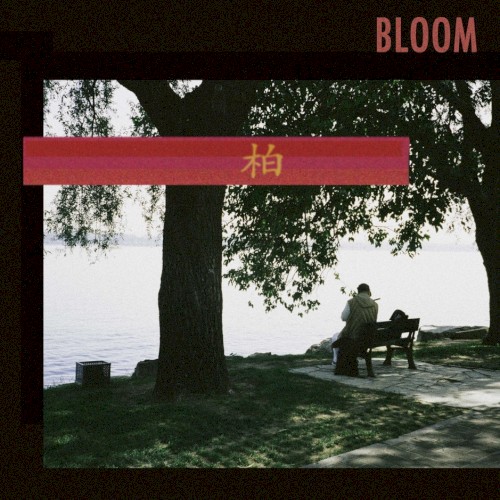 Bloom