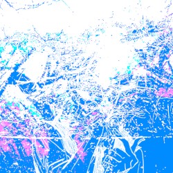 constellation