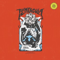 Estrella Destruida