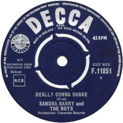 Really Gonna Shake / When We Get Married