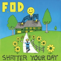 Shatter Your Day