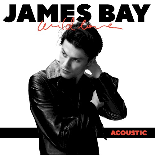 Wild Love (acoustic)