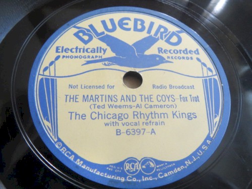The Martins and the Coys / Sarah Jane
