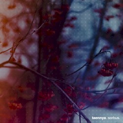 sorbus