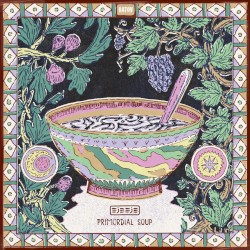 Primordial Soup