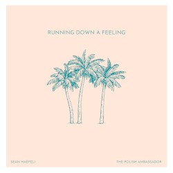 Running Down a Feeling