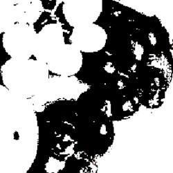 Temporal Field Emitter