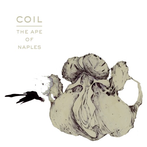 The Ape of Naples