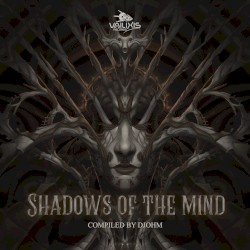 Shadows of the Mind