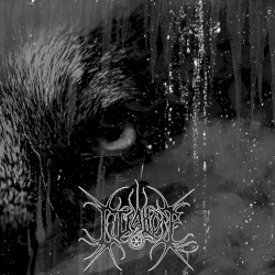 Wolven Storm