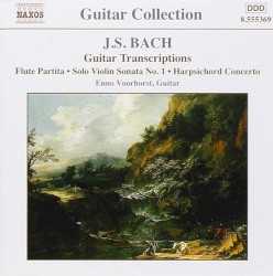 Guitar Transcriptions