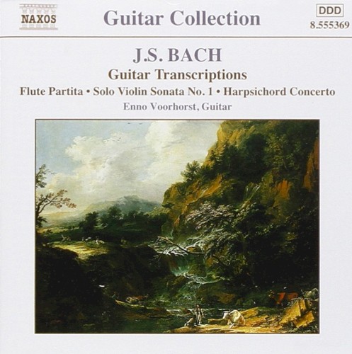 Guitar Transcriptions