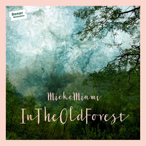 In the Old Forest