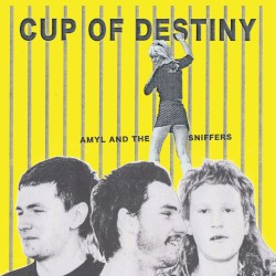 Cup of Destiny