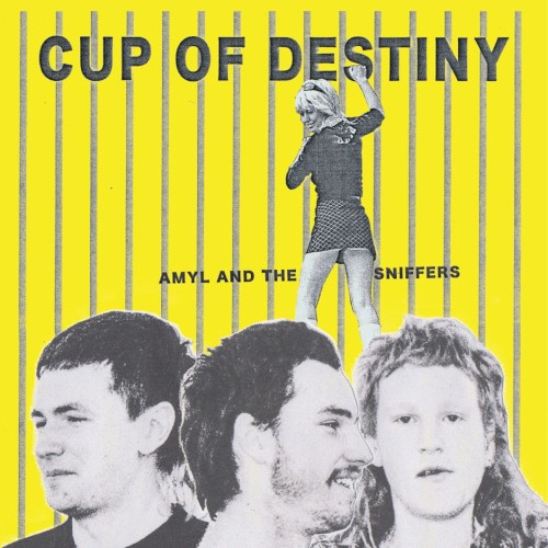 Cup of Destiny