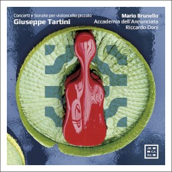 Concerti e Sonate per violoncello Piccolo