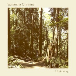 Understory