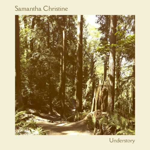 Understory