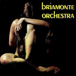 Briamonte Orchestra