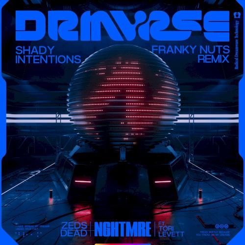 Shady Intentions (Franky Nuts remix)