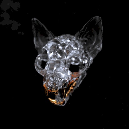 Crazy Beautiful Blackout
