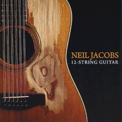 12 String Guitar