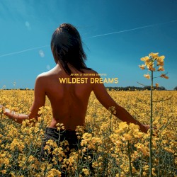 Wildest Dreams