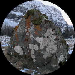 MOA104