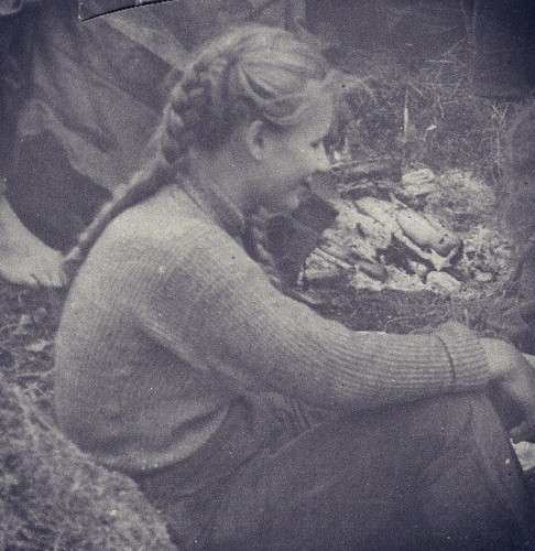 Dubinina Theme