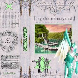 『forgotton memory card』