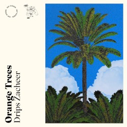 Orange trees