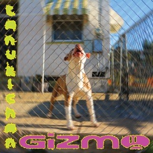 GIZMO