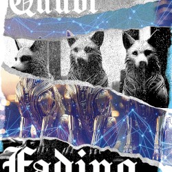 Fading