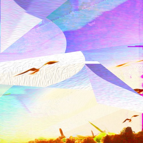 IN