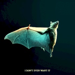 I Don’t Even Want It