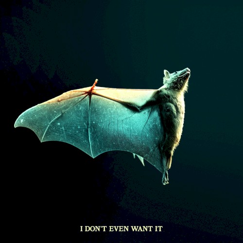 I Don’t Even Want It