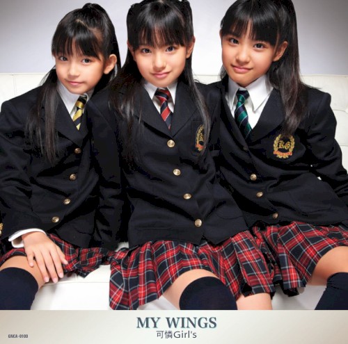 MY WINGS