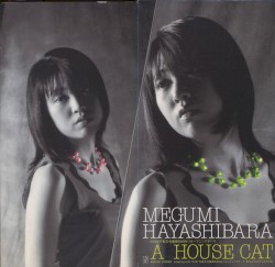 A HOUSE CAT