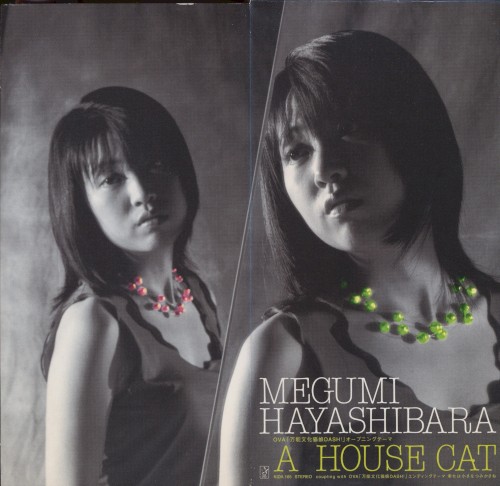 A HOUSE CAT