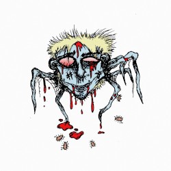 Bed Bug
