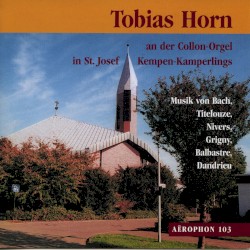 Tobias Horn an der Collon-Orgel in St. Josef Kempen-Kamperlings