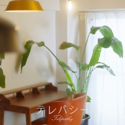 テレパシー