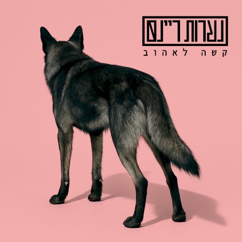 קשה לאהוב
