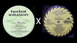 Herbal Infusion "The Hunter" x Pamela Fernandez "Kickin' In The Beat"