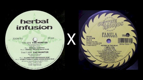 Herbal Infusion "The Hunter" x Pamela Fernandez "Kickin' In The Beat"