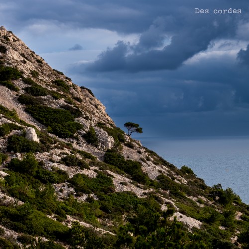 Des cordes