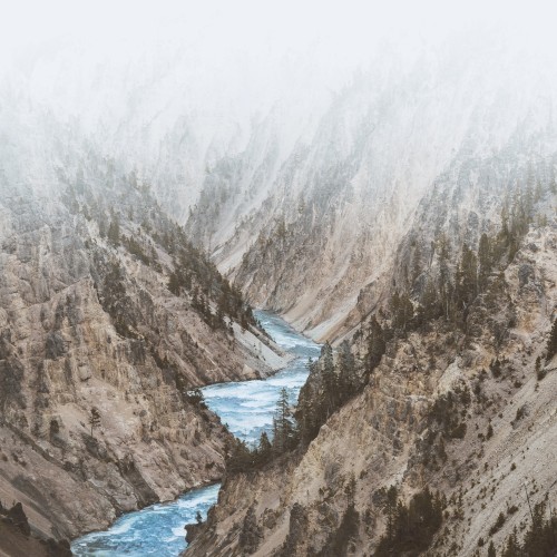 North