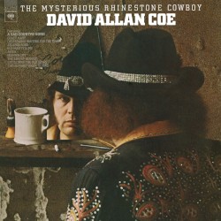 The Mysterious Rhinestone Cowboy
