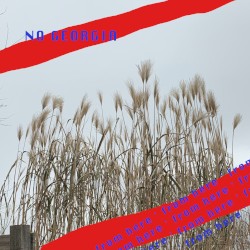no georgia