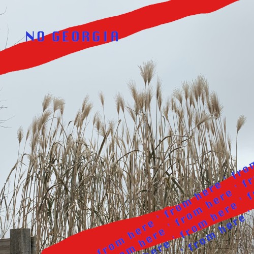 no georgia